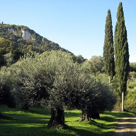 Apartmán Avgoustina Venus Benitses (Corfu)